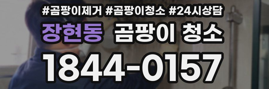 장현동 곰팡이 청소