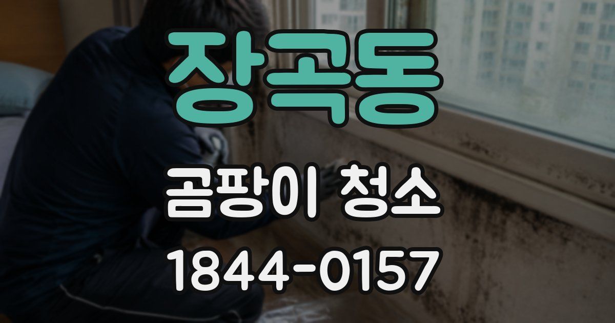 장곡동 곰팡이 청소