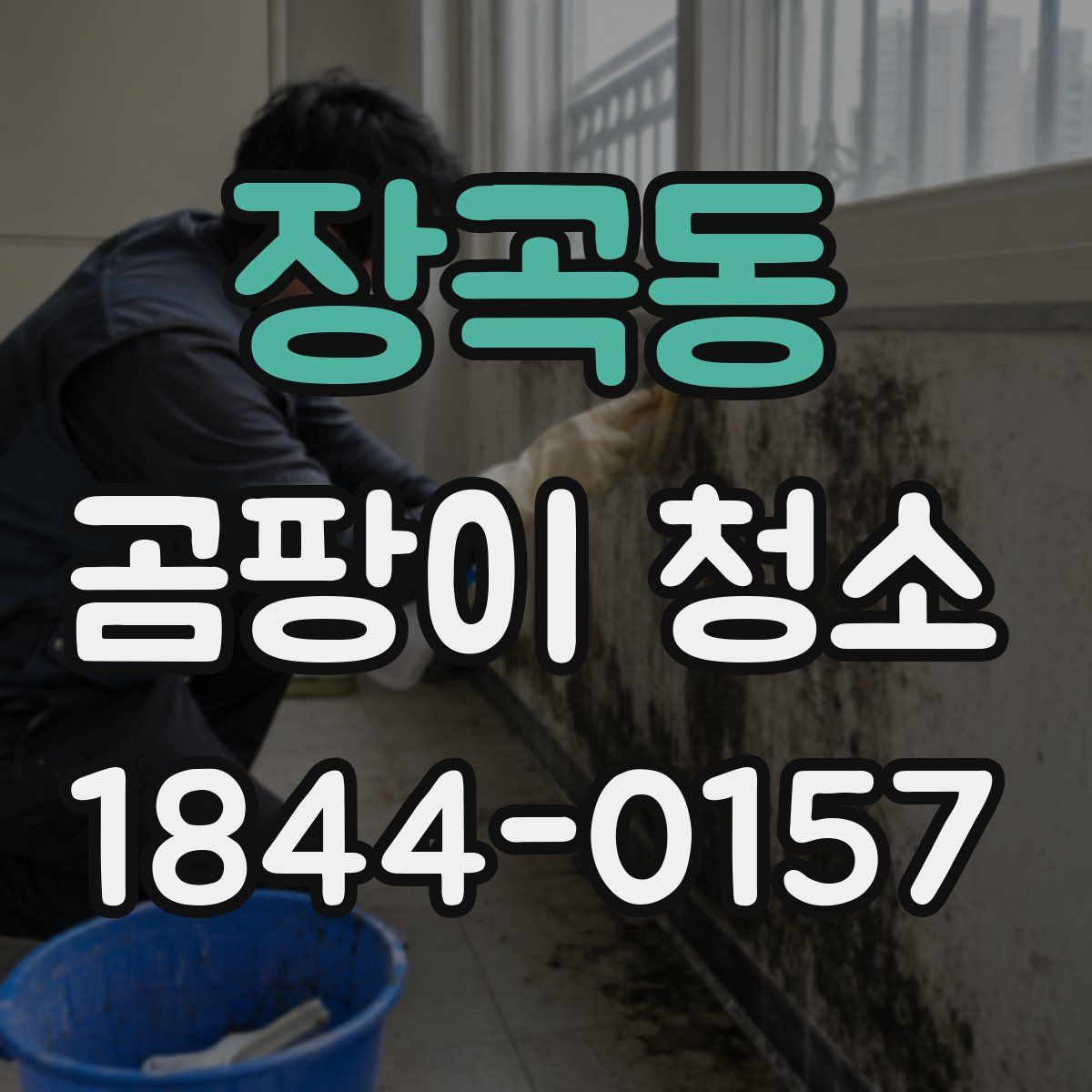 장곡동 곰팡이 청소