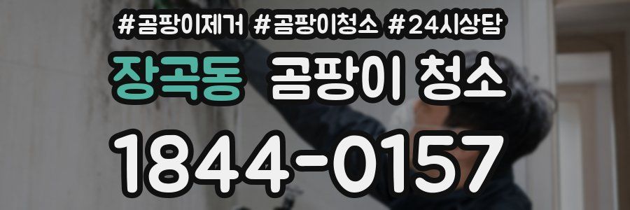 장곡동 곰팡이 청소
