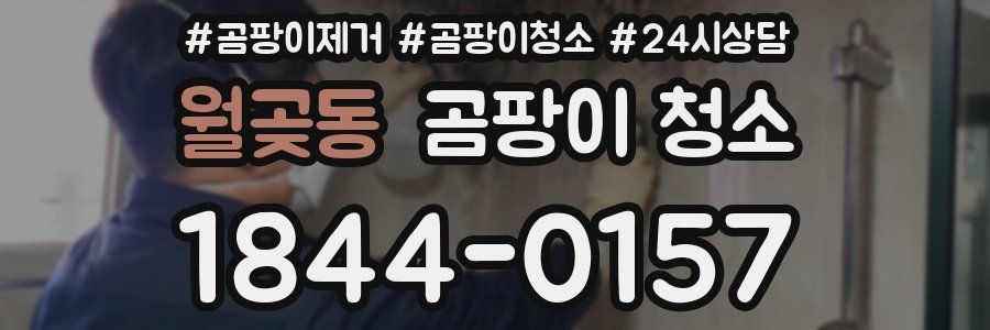월곶동 곰팡이 청소