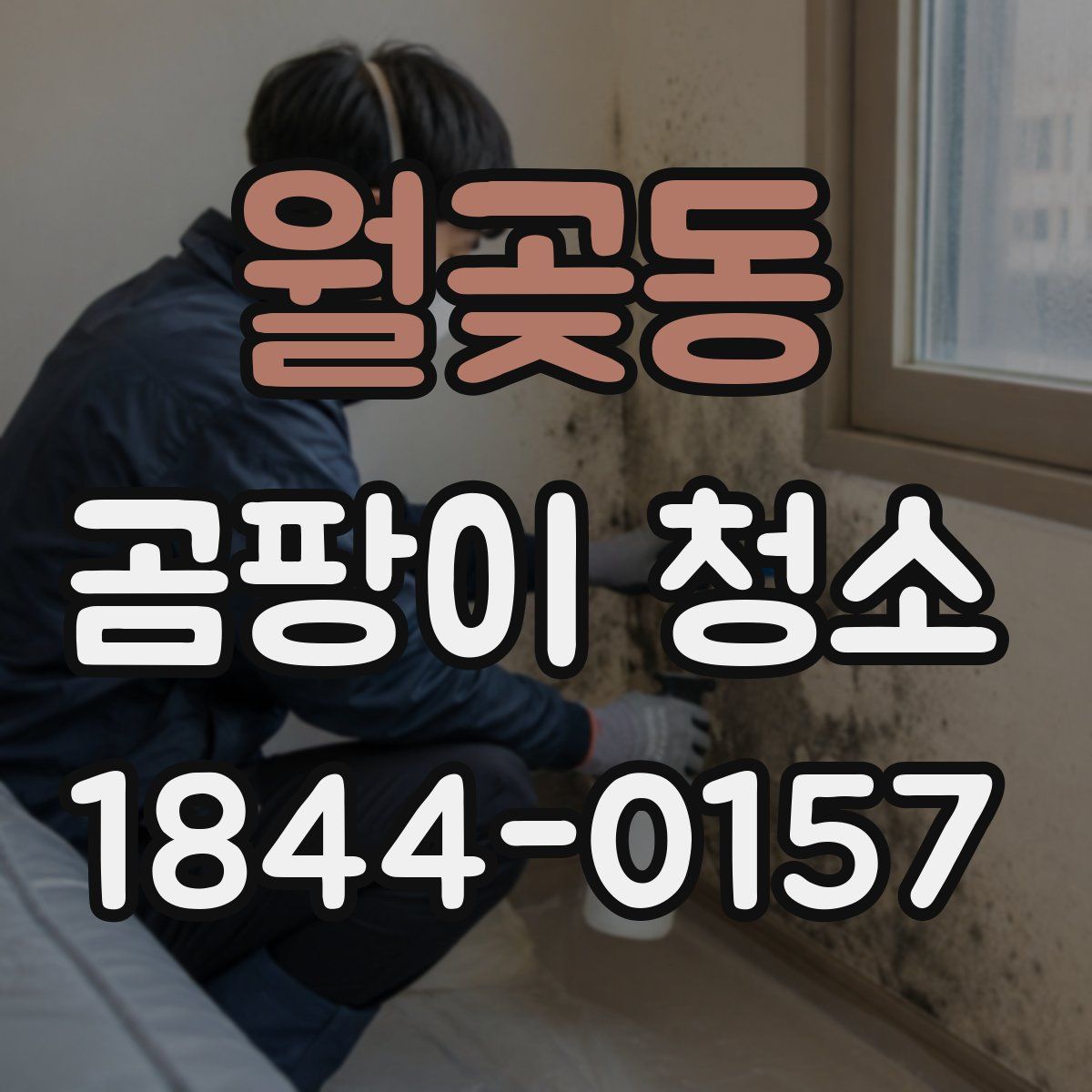 월곶동 곰팡이 청소