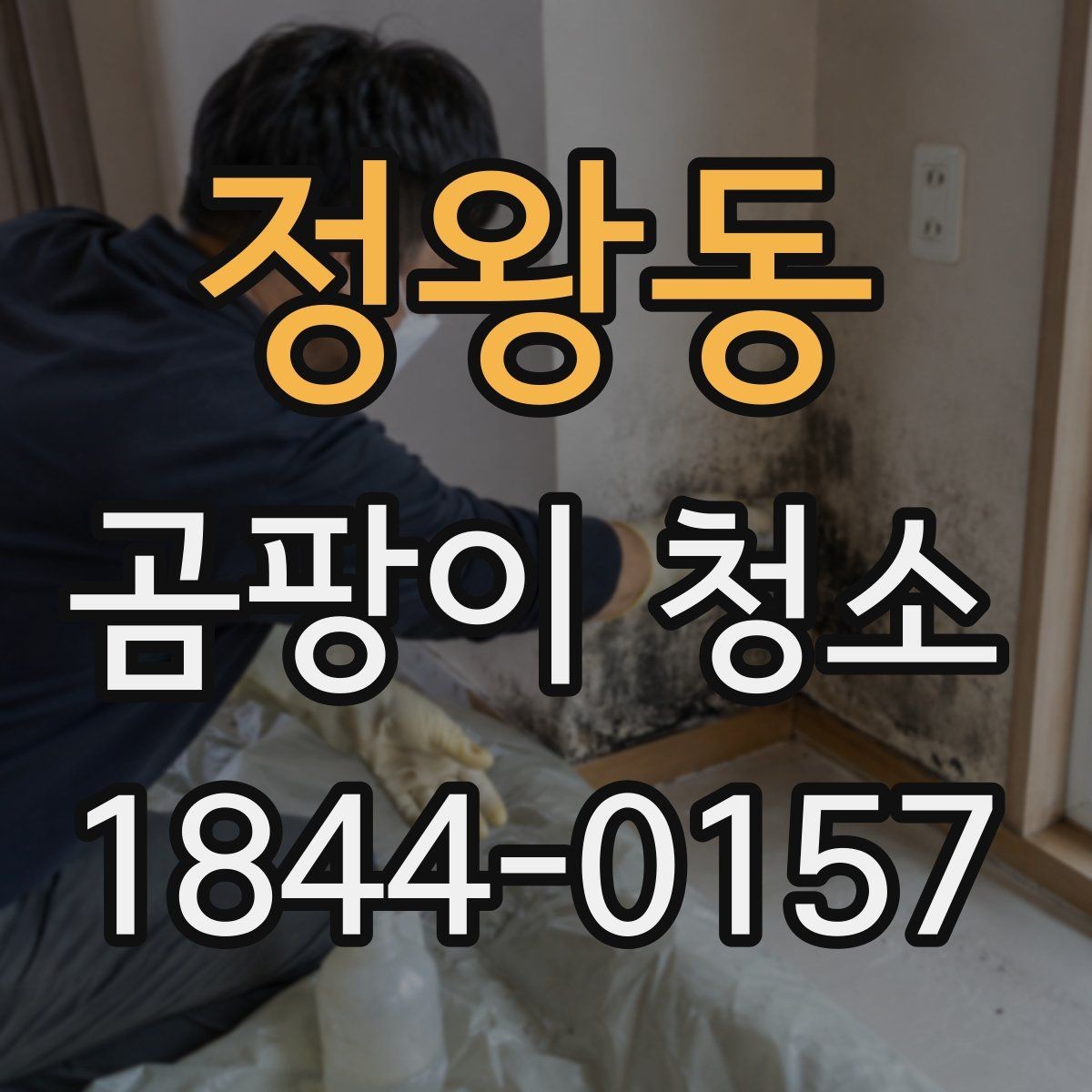 정왕동 곰팡이 청소 전 결로와 누수 여부를 먼저 확인하는 순서