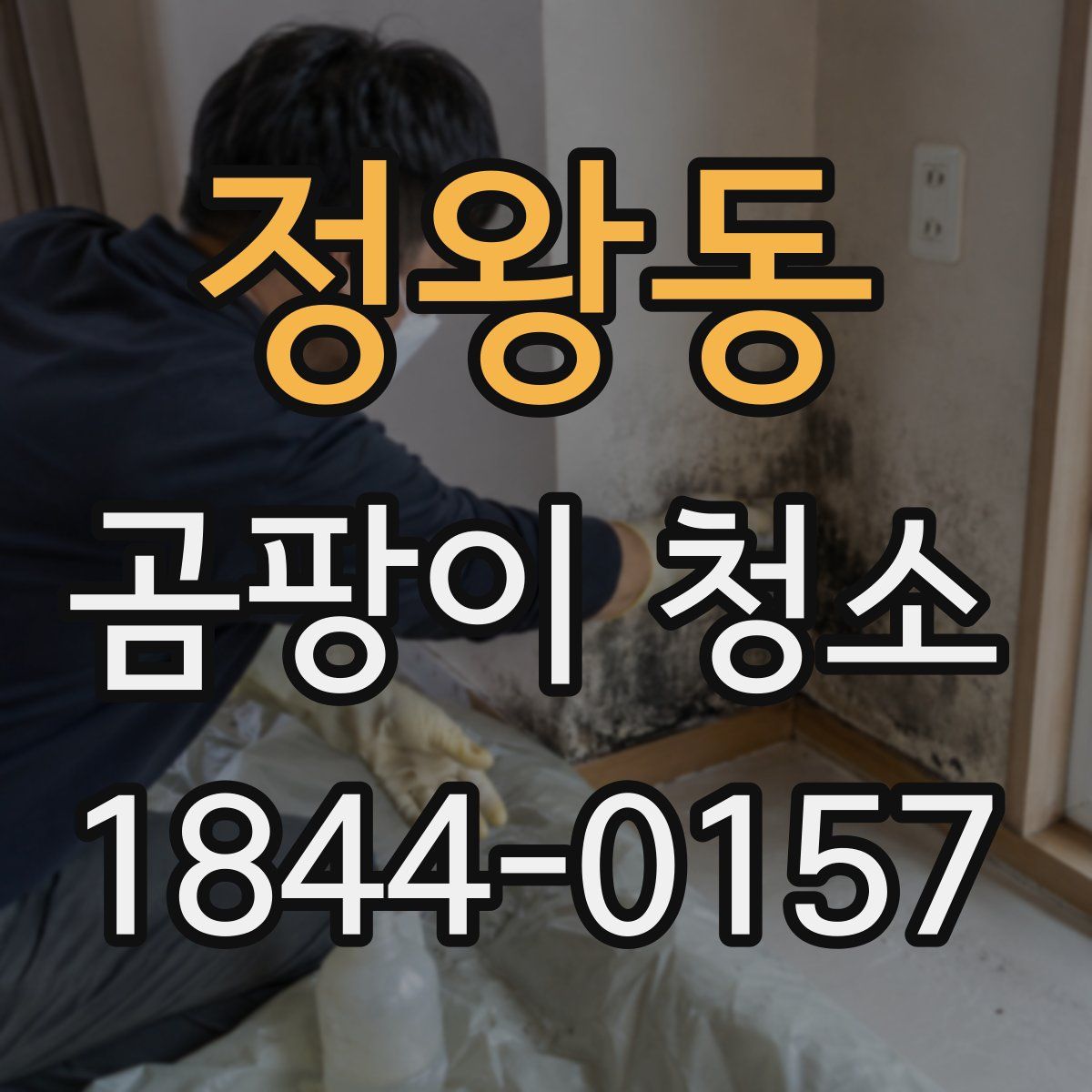 정왕동 곰팡이 청소
