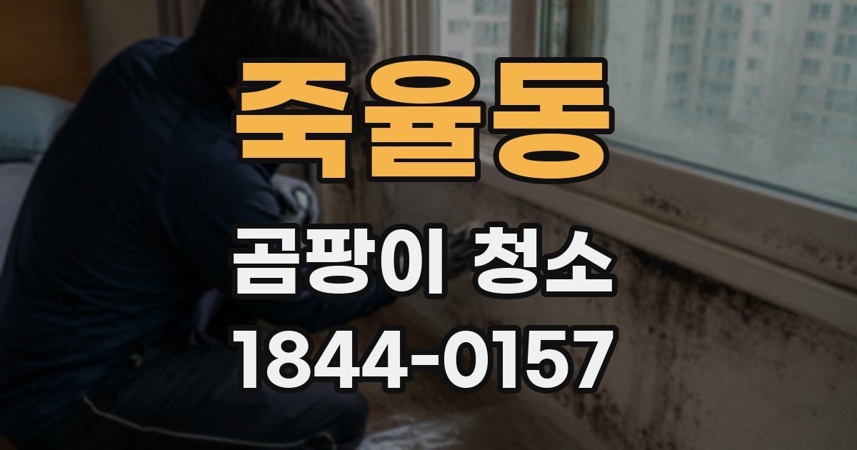 죽율동 곰팡이 청소