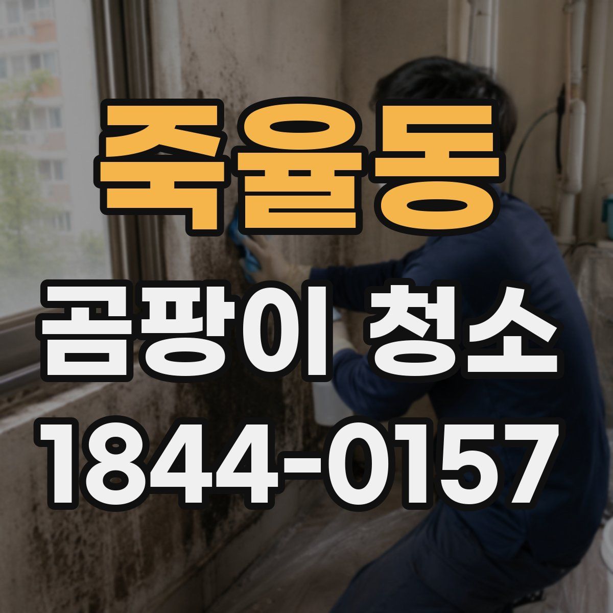 죽율동 곰팡이 청소