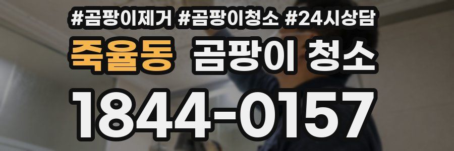 죽율동 곰팡이 청소