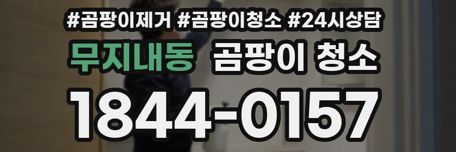 무지내동 곰팡이 청소
