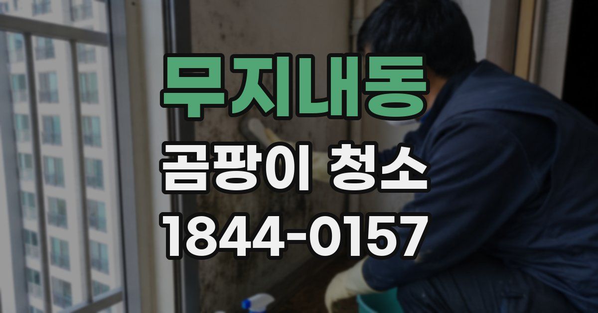무지내동 곰팡이 청소