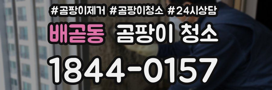 배곧동 곰팡이 청소
