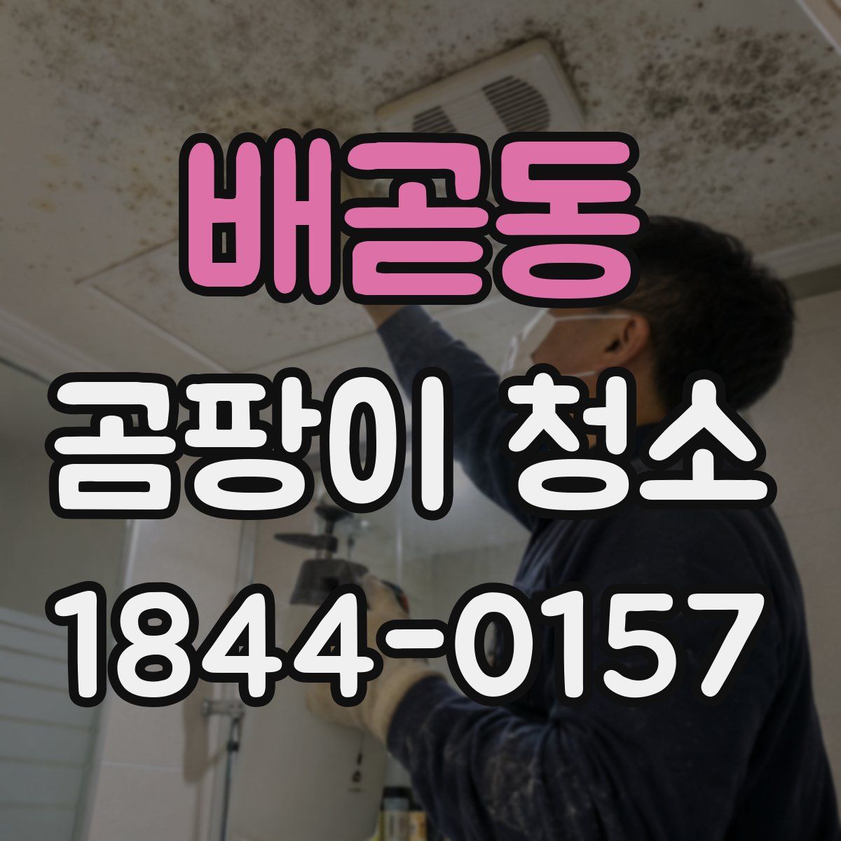 배곧동 곰팡이 청소