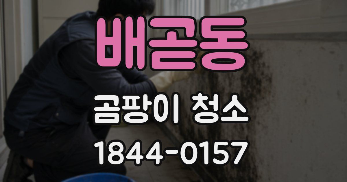 배곧동 곰팡이 청소