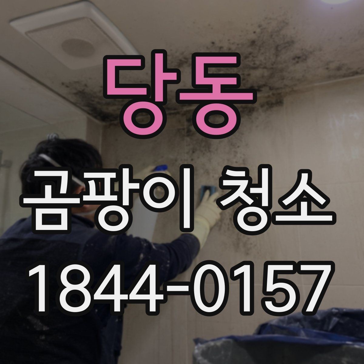 당동 곰팡이 청소 방마다 다른 위생 회복 순서