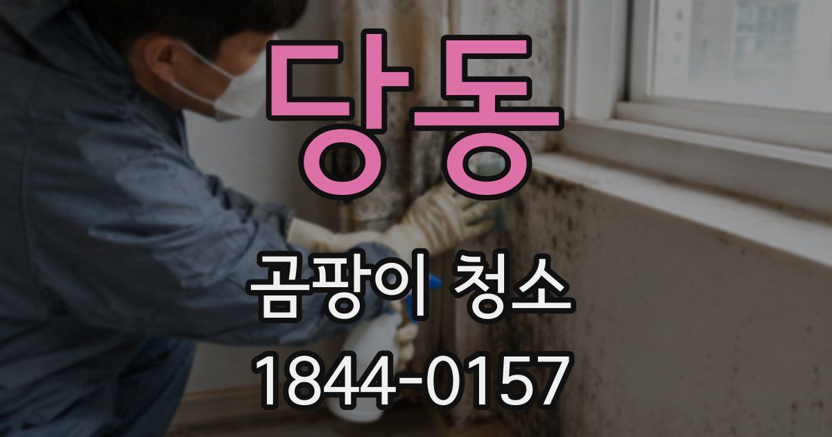 당동 곰팡이 청소
