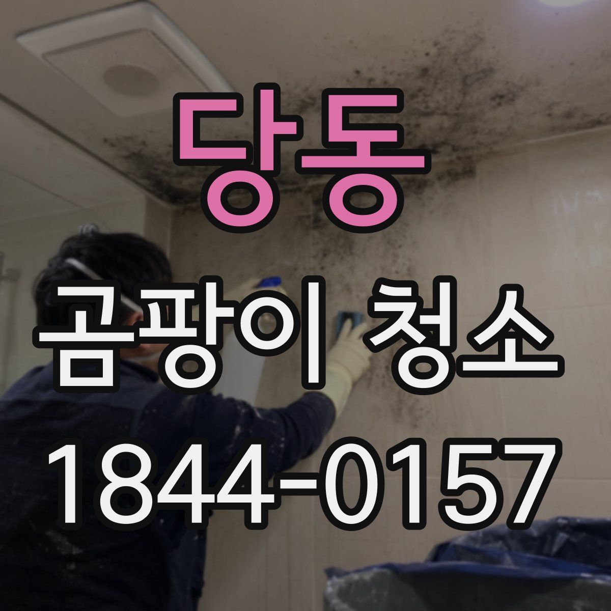 당동 곰팡이 청소