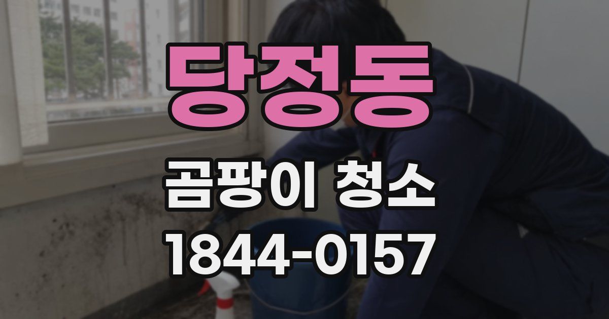 당정동 곰팡이 청소
