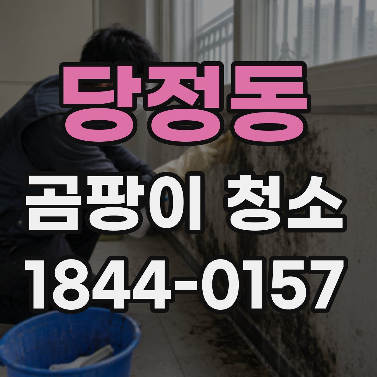 당정동 곰팡이 청소