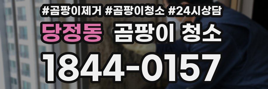 당정동 곰팡이 청소