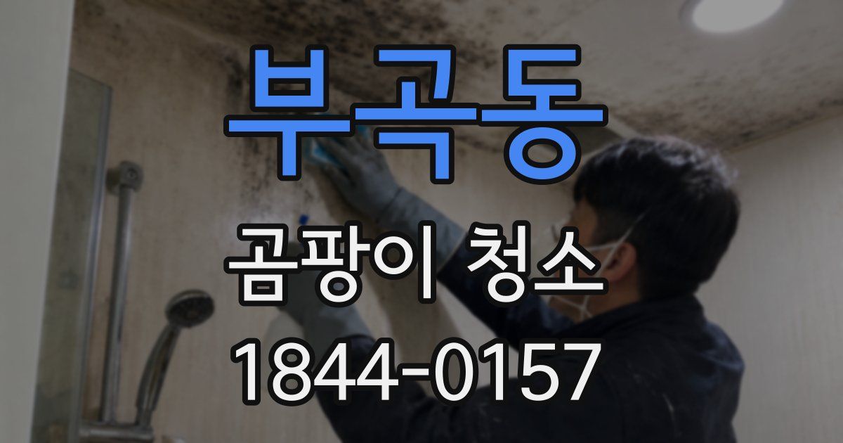부곡동 곰팡이 청소