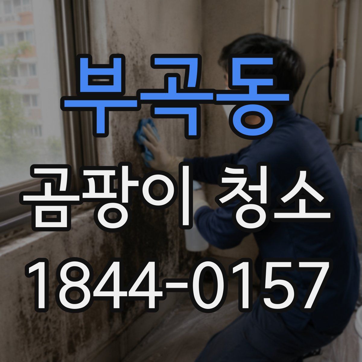 부곡동 곰팡이 청소