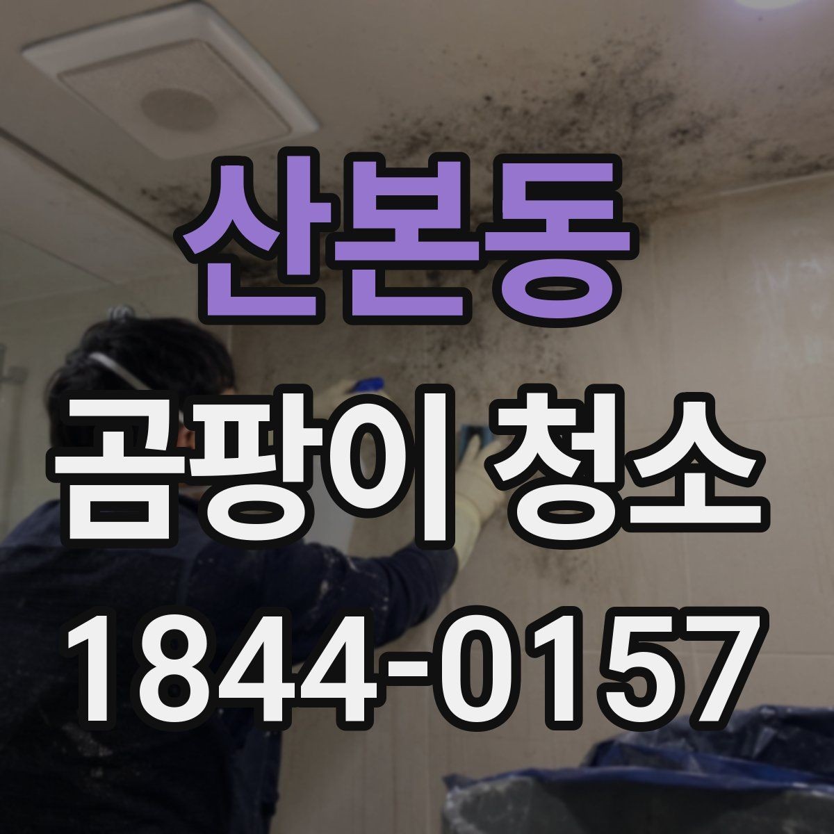 산본동 곰팡이 청소 통풍이 막힌 실내에서 관리가 어려운 이유