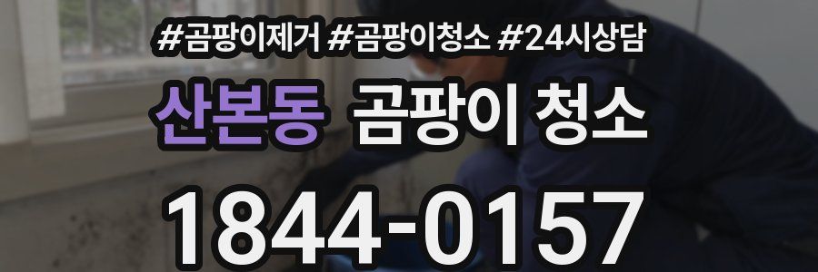 산본동 곰팡이 청소
