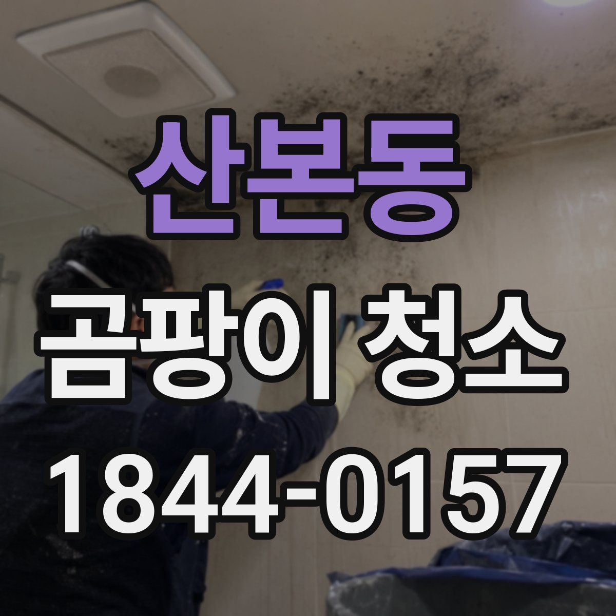 산본동 곰팡이 청소