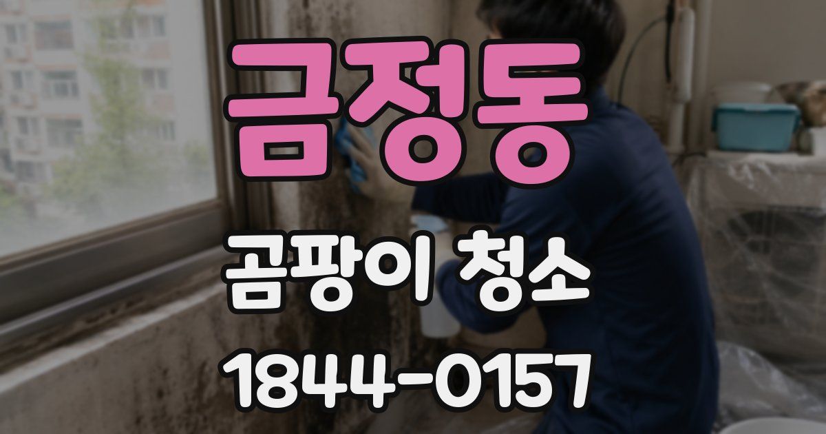 금정동 곰팡이 청소