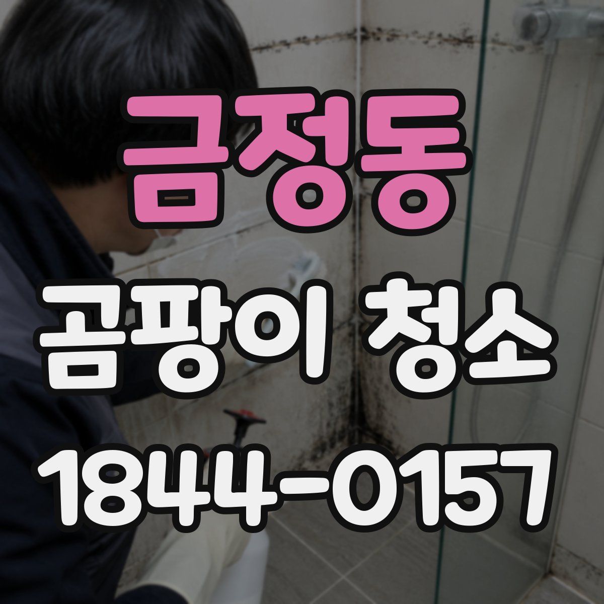 금정동 곰팡이 청소