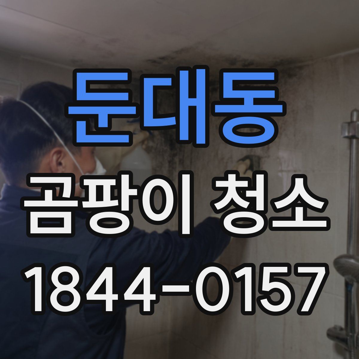 둔대동 곰팡이 청소