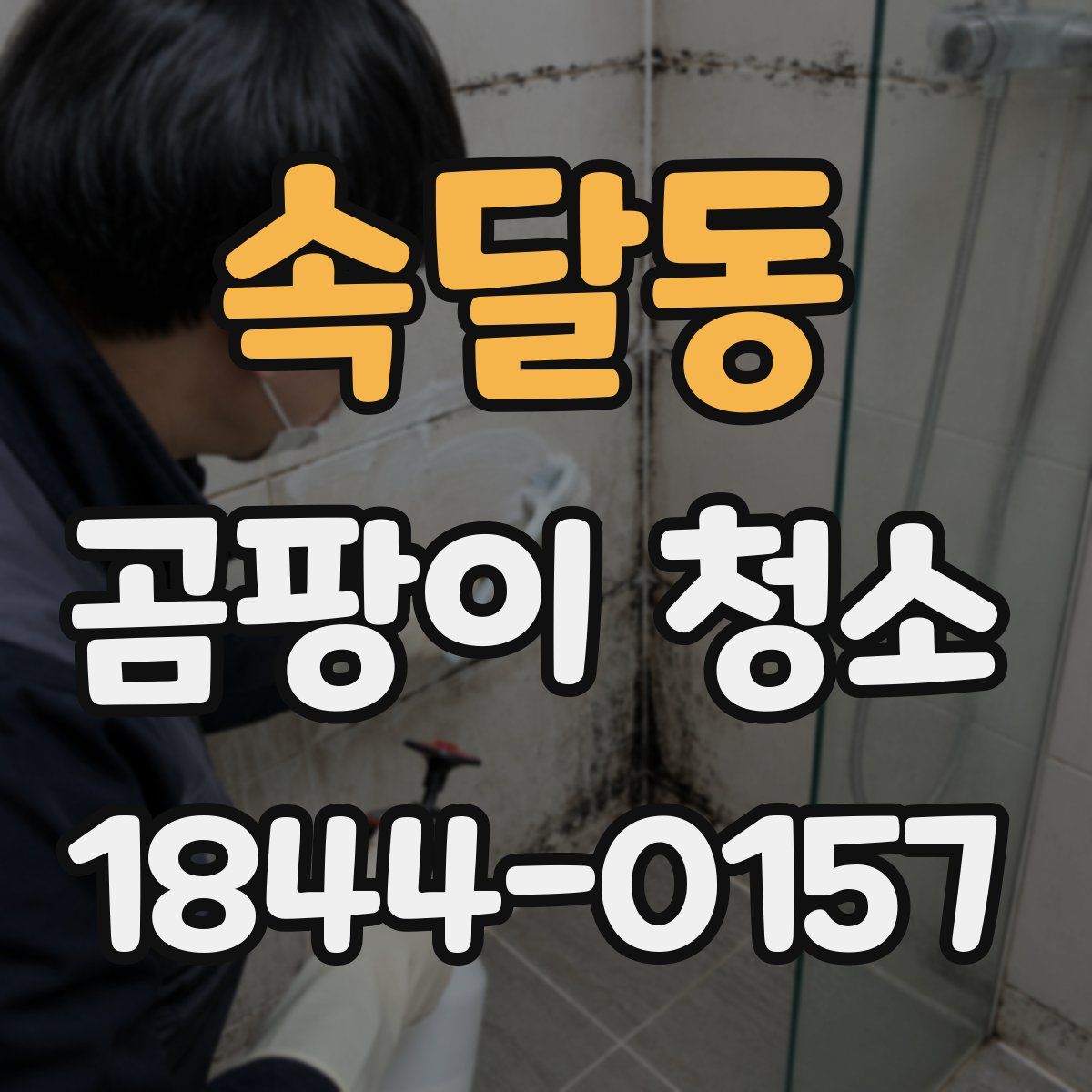 속달동 곰팡이 청소