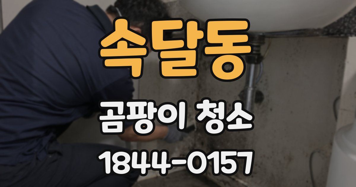 속달동 곰팡이 청소