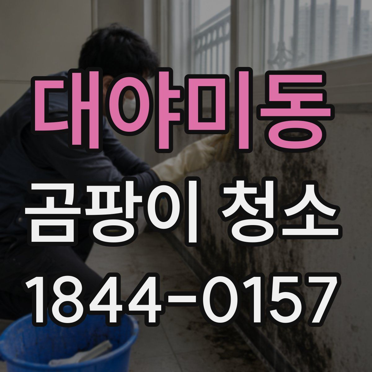 대야미동 곰팡이 청소