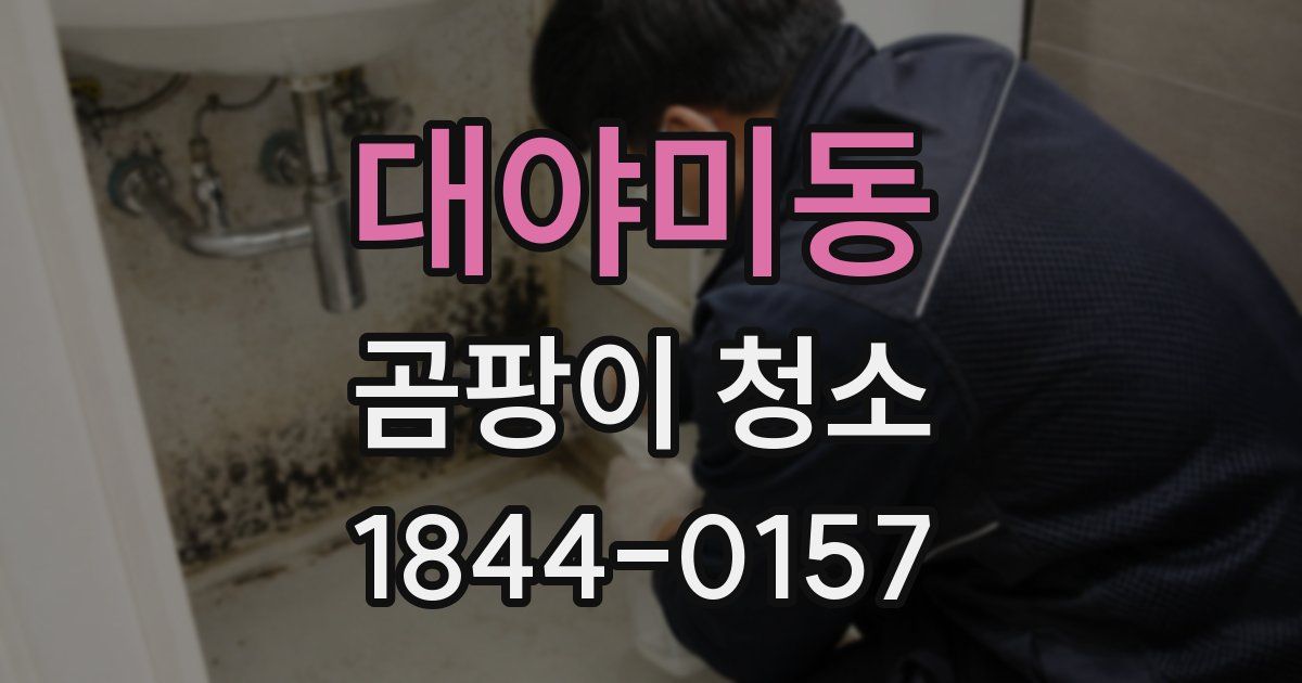 대야미동 곰팡이 청소