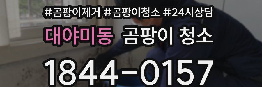 대야미동 곰팡이 청소