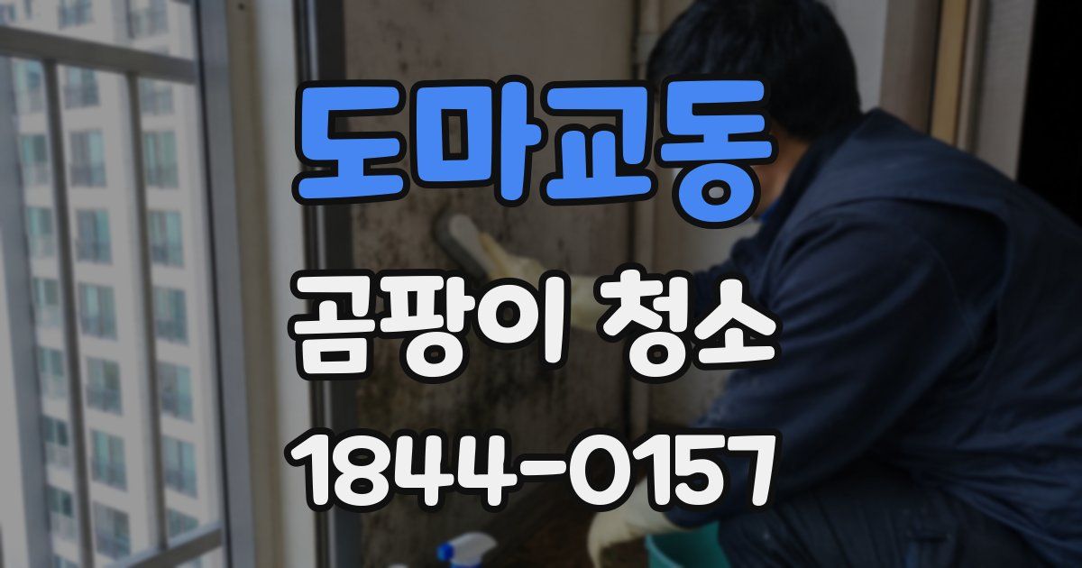 도마교동 곰팡이 청소