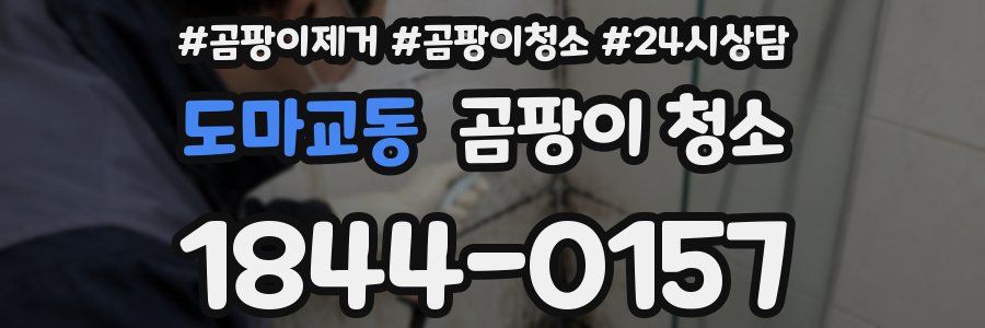 도마교동 곰팡이 청소
