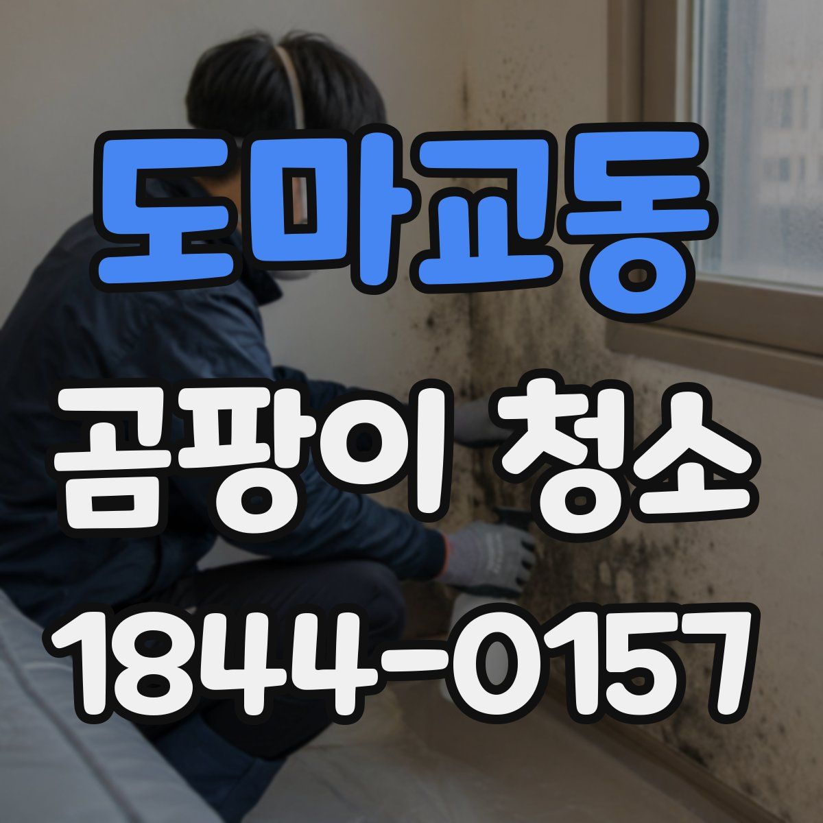 도마교동 곰팡이 청소