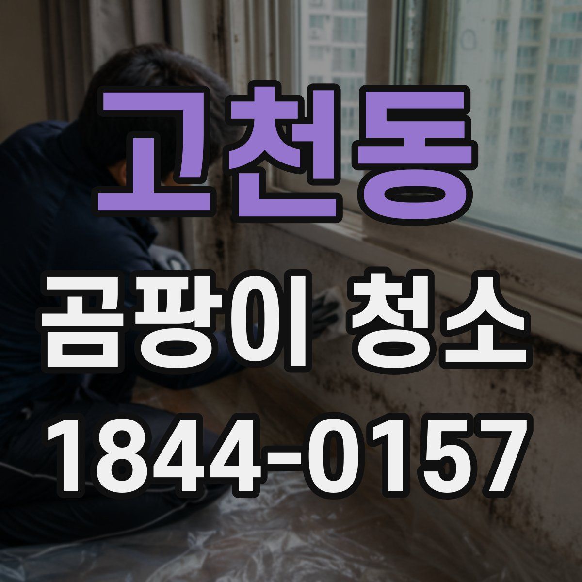 고천동 곰팡이 청소