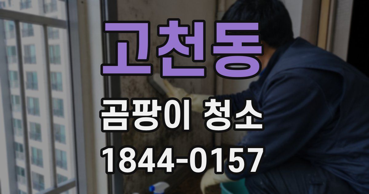 고천동 곰팡이 청소