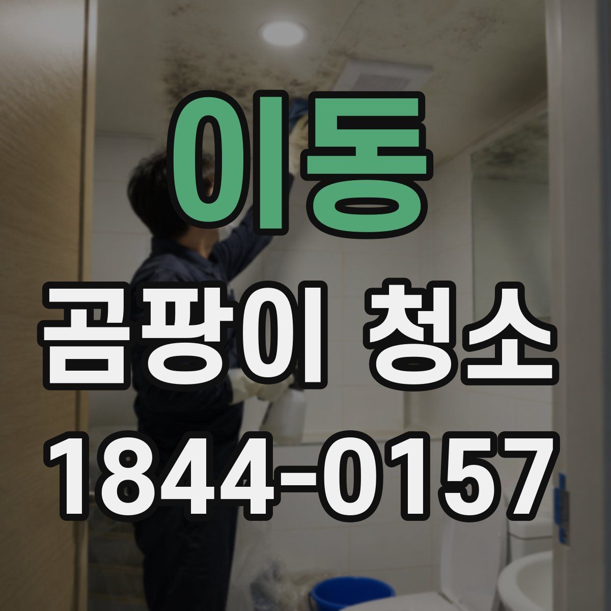 이동 곰팡이 청소