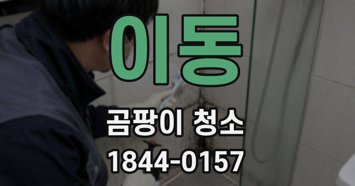 이동 곰팡이 청소