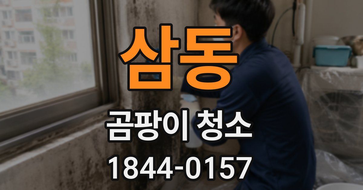삼동 곰팡이 청소