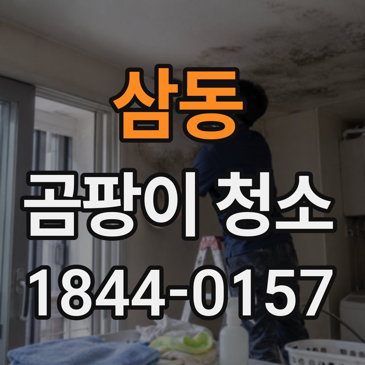 삼동 곰팡이 청소