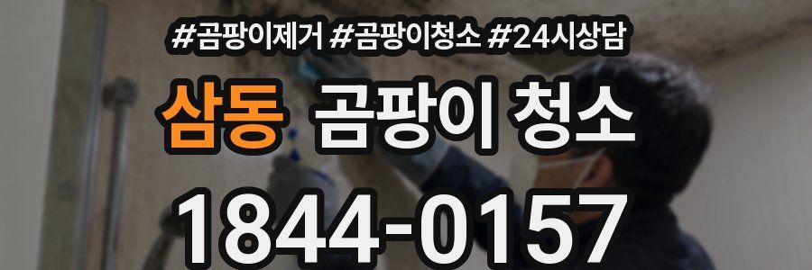 삼동 곰팡이 청소