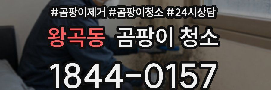 왕곡동 곰팡이 청소