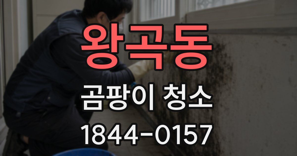 왕곡동 곰팡이 청소