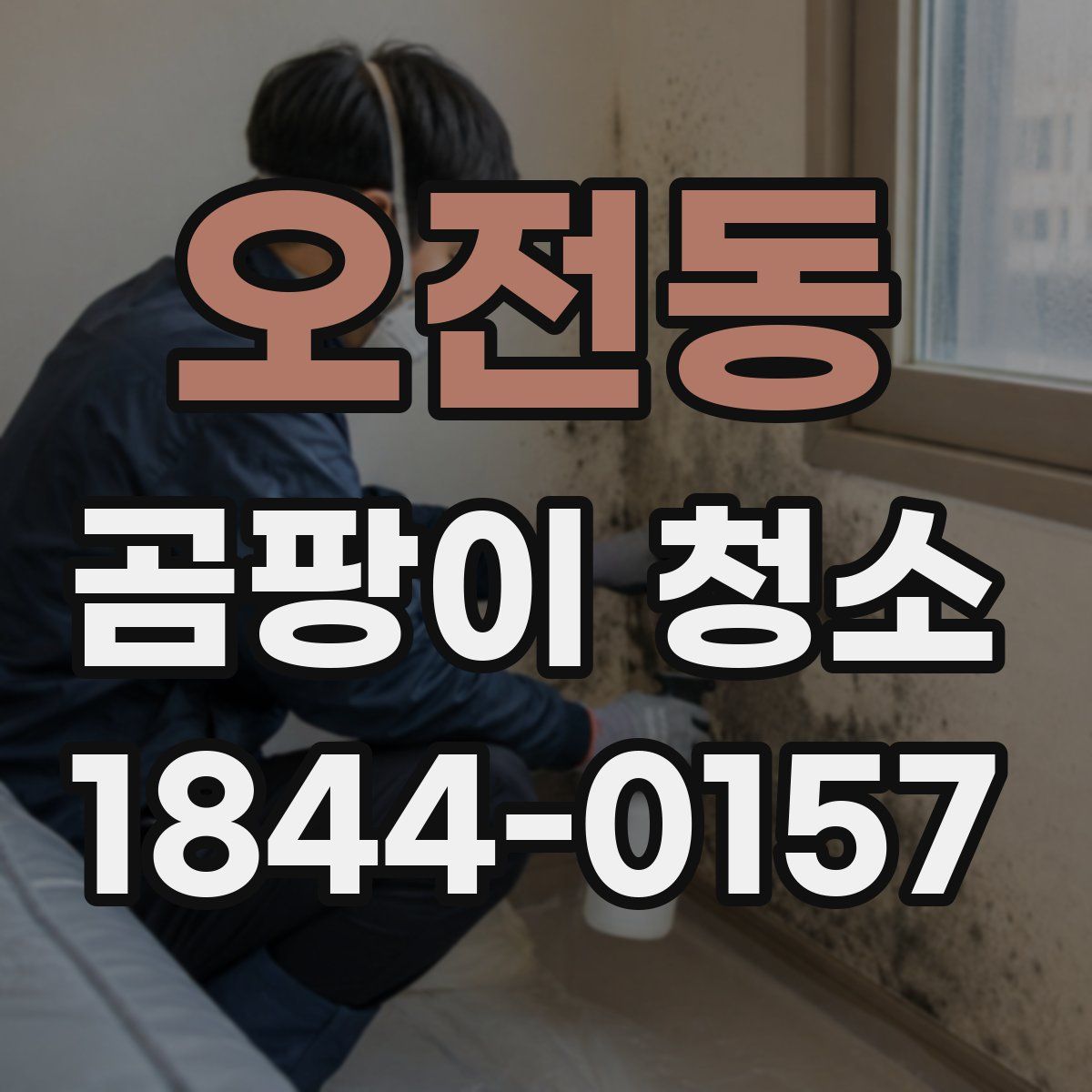 오전동 곰팡이 청소