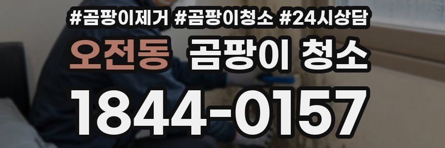 오전동 곰팡이 청소