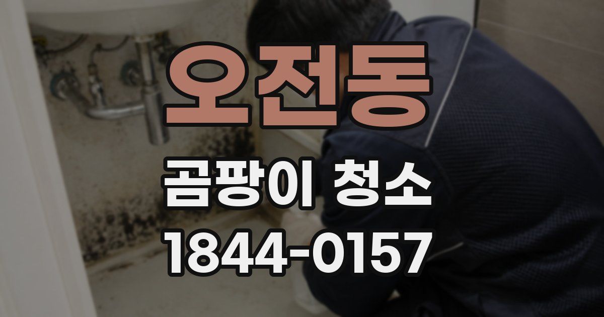 오전동 곰팡이 청소